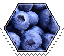 blueberries hexagonal stamp